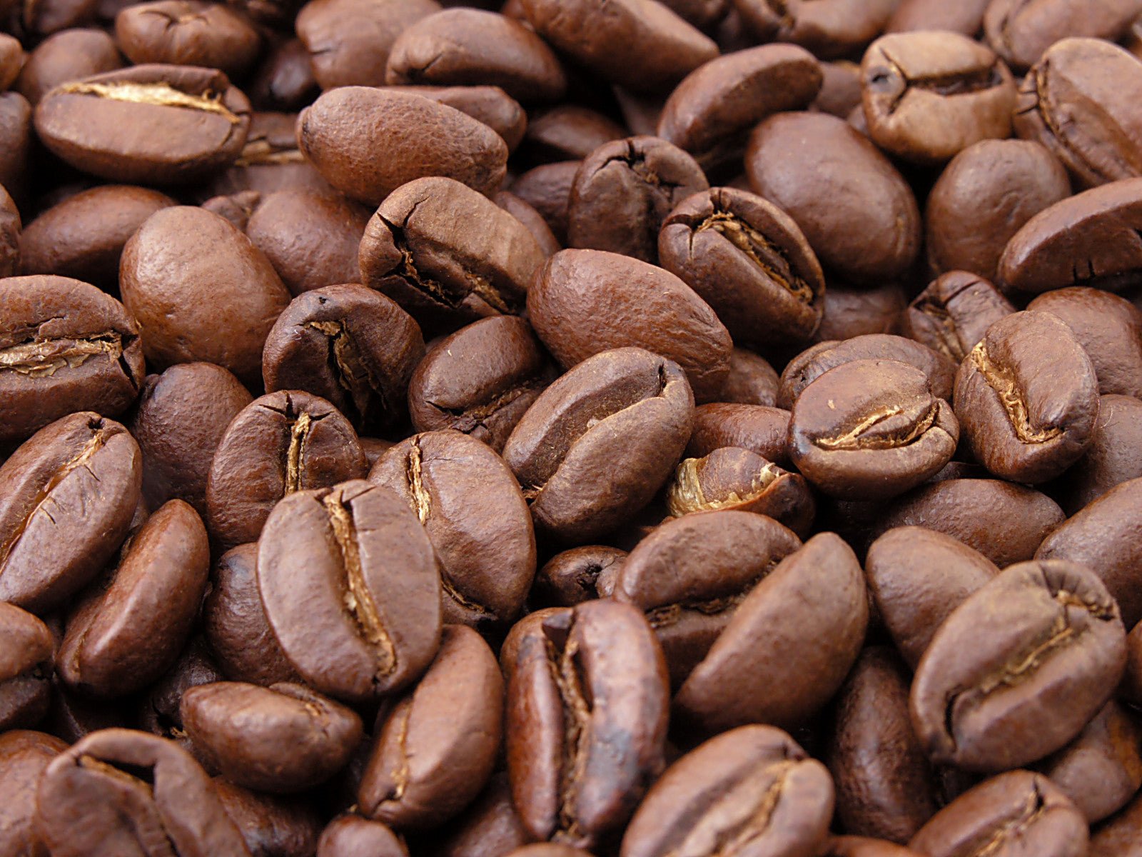 The Life Cycle of Coffee