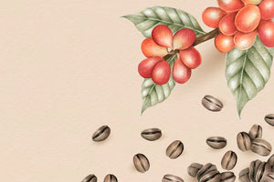 Signature Blends