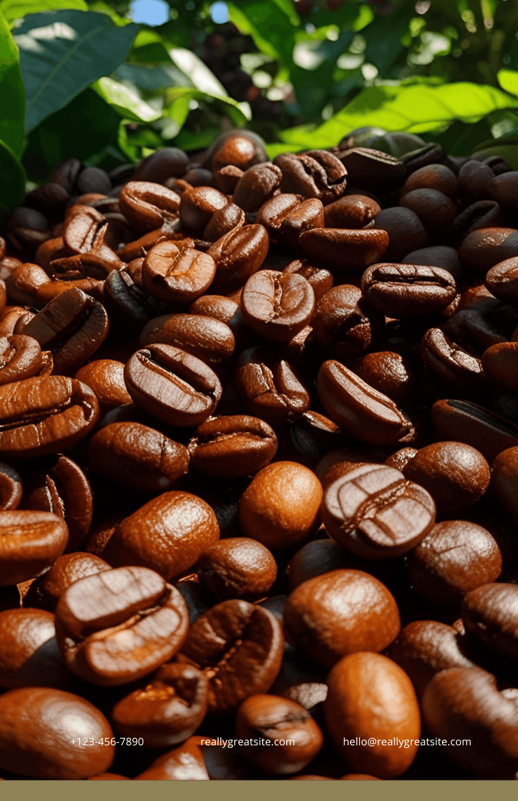 Close-up of roasted coffee beans with green leaves in the background