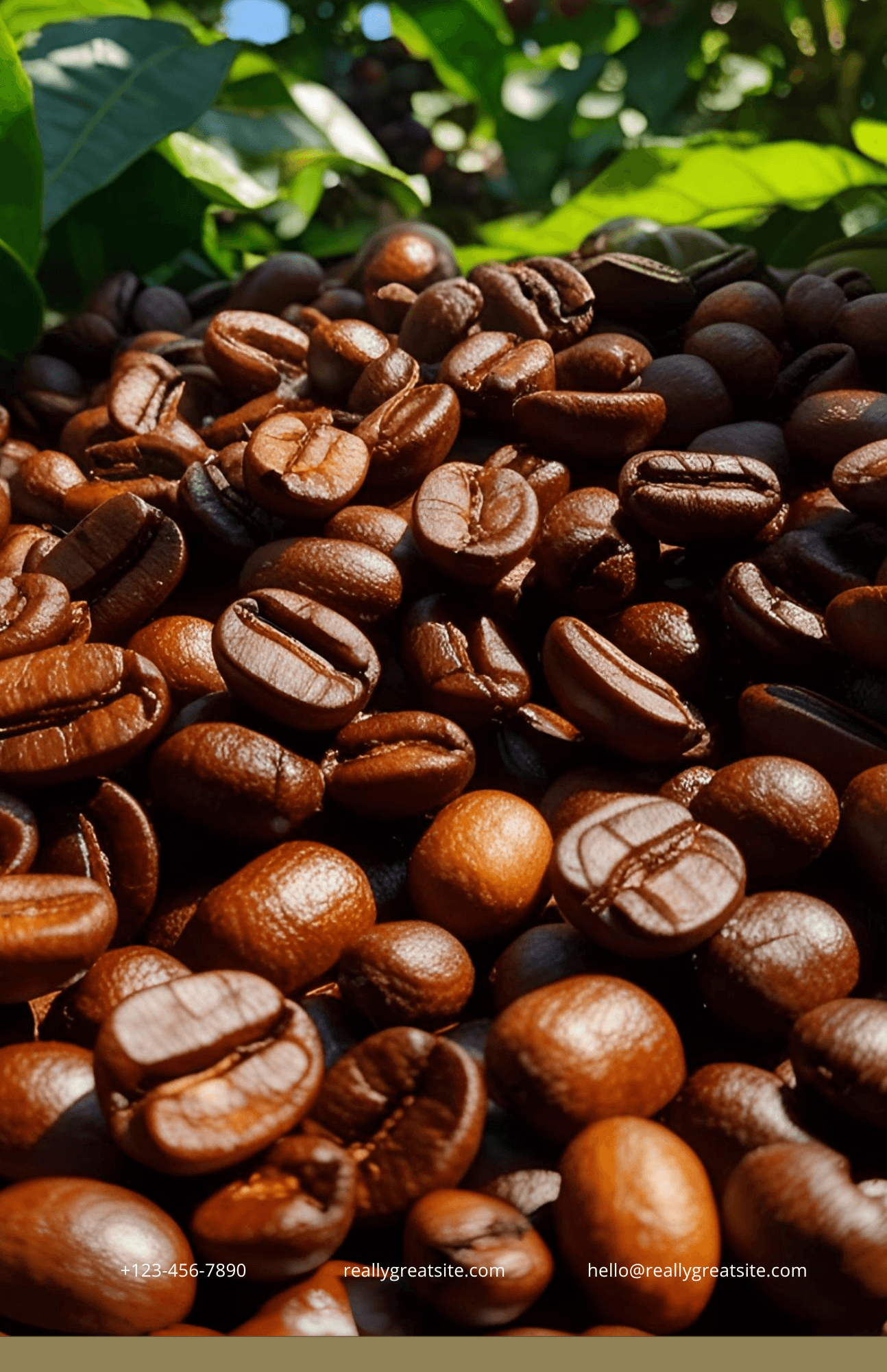 Close-up of roasted coffee beans with green leaves in the background