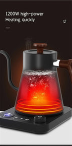 Portable gooseneck electric kettle with NTC chip temperature control, memory function, and automatic power-off for dry burning prevention.