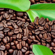 Nicaragua Whole Bean, Standard, Espresso 12oz-12 lb. - StepUp Coffee